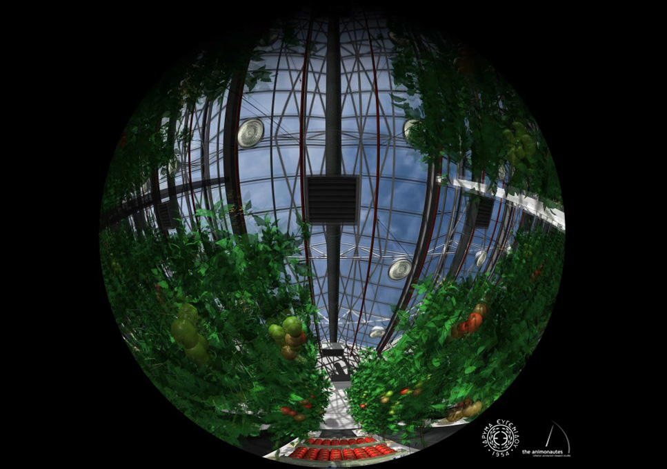 the earth and me