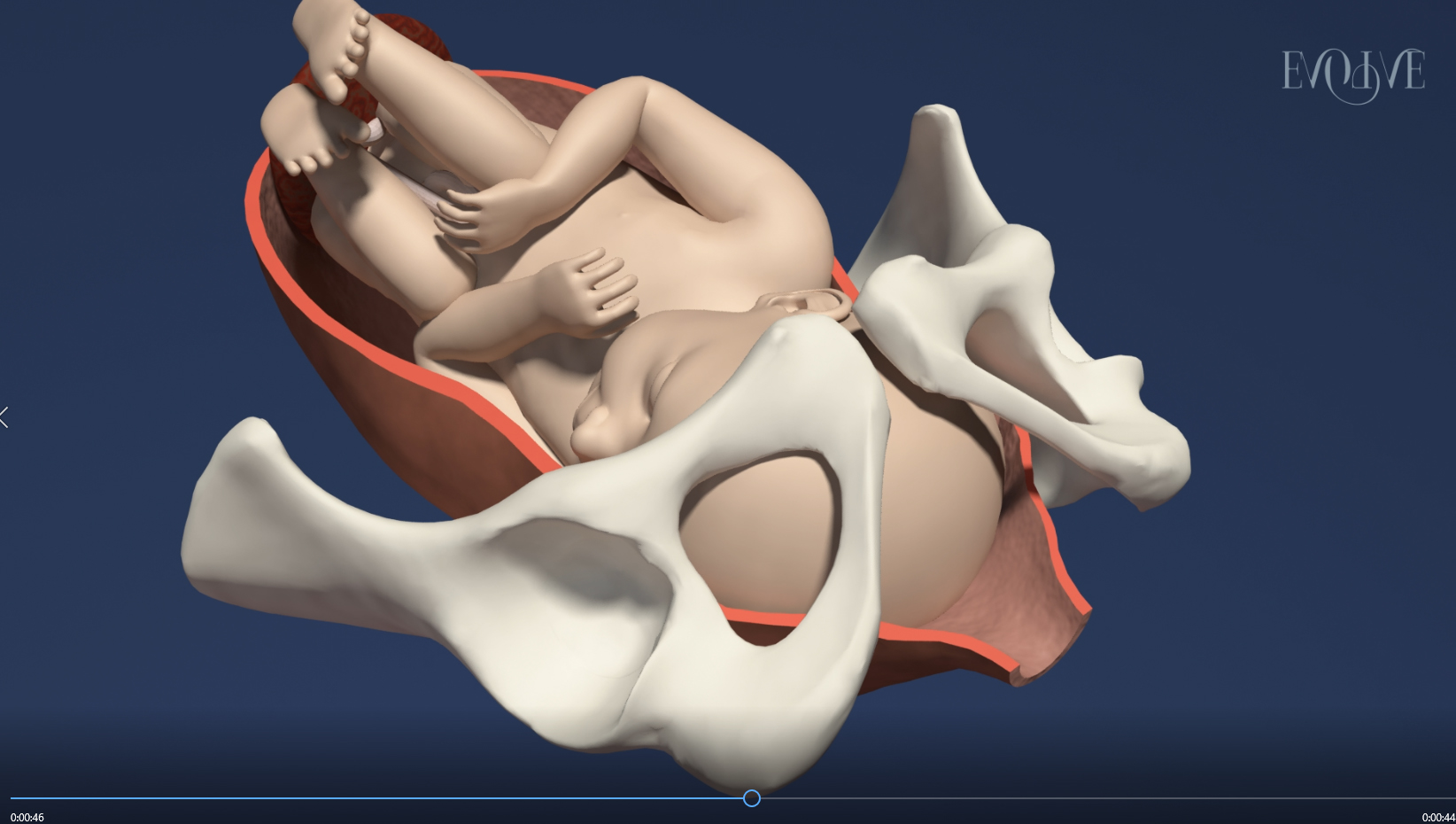 The stages of normal childbirth – Medical animation