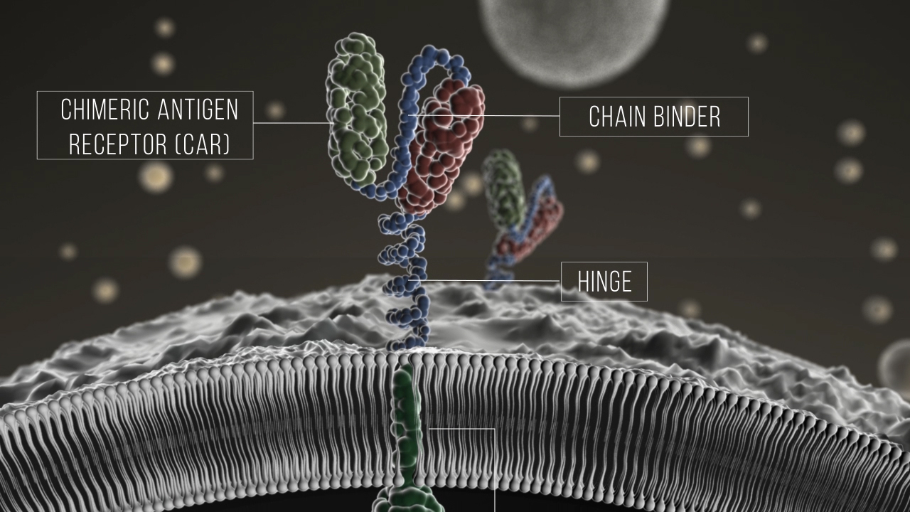 BREMEL BIOPHARMACEUTICAL 2021