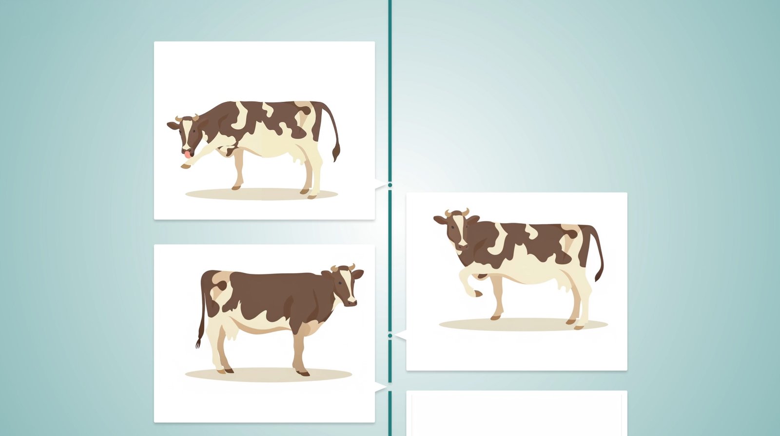 The “Five Freedoms” of animal welfare